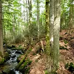 Gemuetliches Apartment, Sauna, Nationalpark, Ruhe