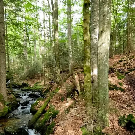 Gemuetliches Apartment, Sauna, Nationalpark, Ruhe