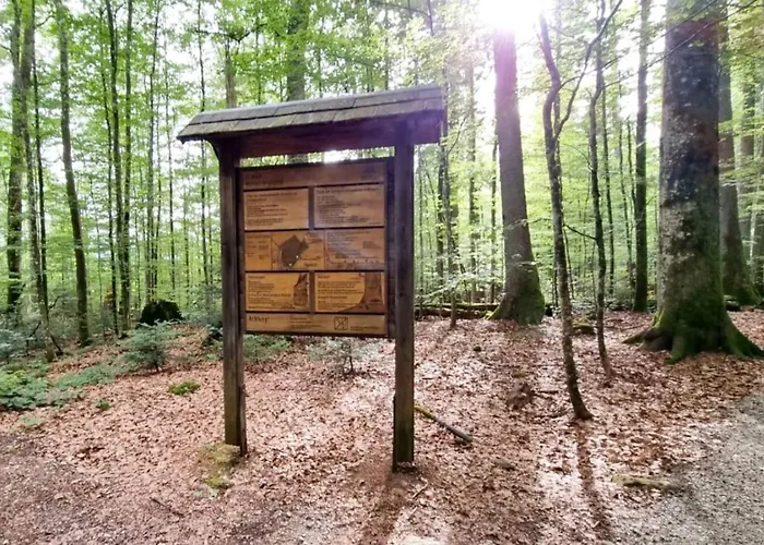 Gemuetliches Apartment, Sauna, Nationalpark, Ruhe Apartment Lindberg