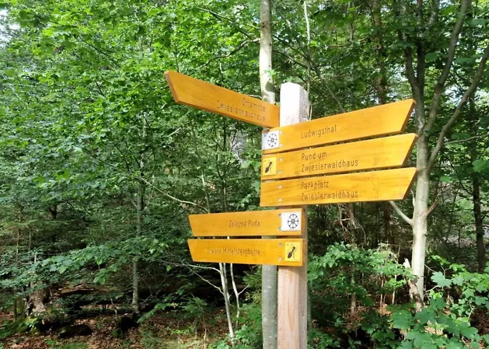 Gemuetliches Apartment, Sauna, Nationalpark, Ruhe * Lindberg