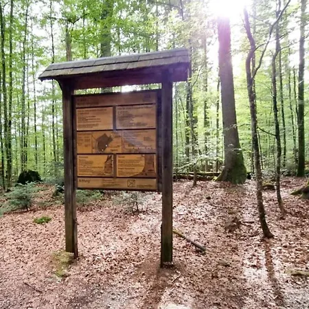 Gemuetliches Apartment, Sauna, Nationalpark, Ruhe アパート リントベルク
