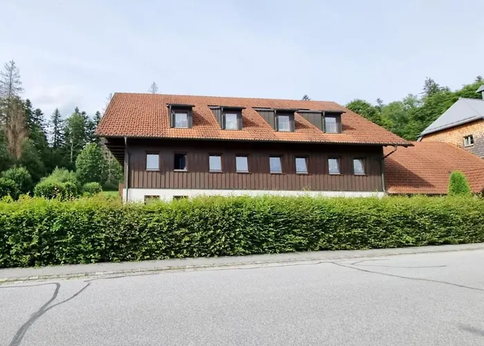 Apartman Gemuetliches Apartment, Sauna, Nationalpark, Ruhe Lindberg