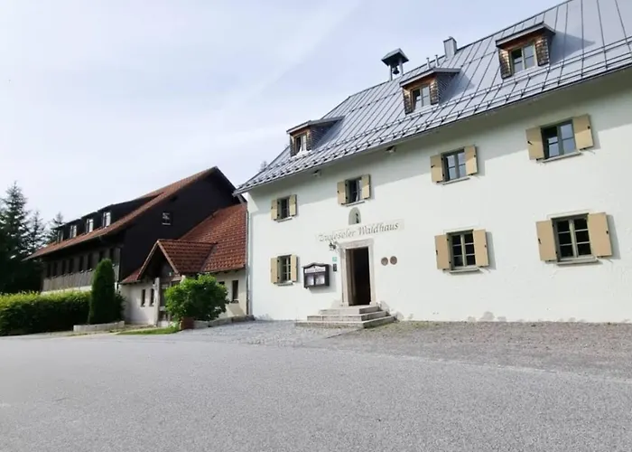 Gemuetliches Apartment, Sauna, Nationalpark, Ruhe * Lindberg