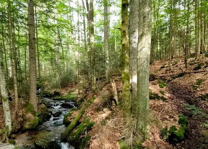 Gemuetliches Apartment, Sauna, Nationalpark, Ruhe